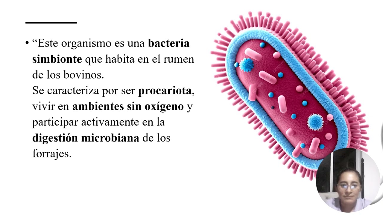 Identificación de la célula como unidadde vida y los principales procesos celulares