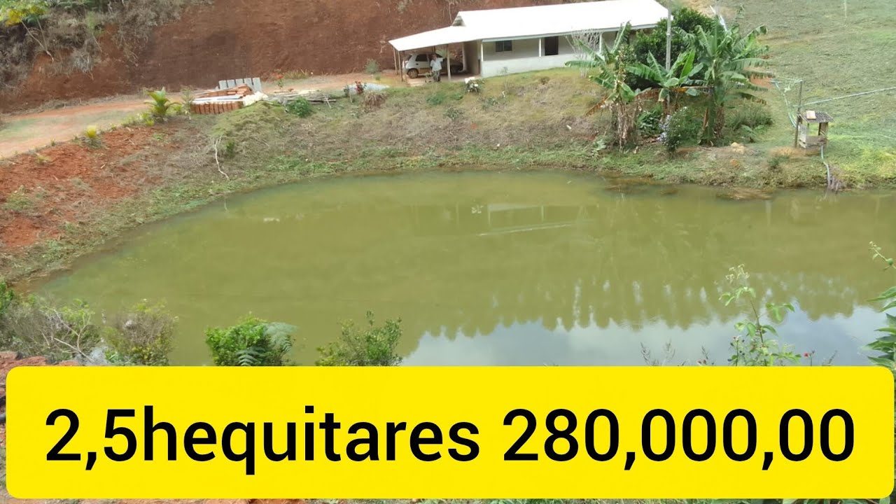 Sítio a venda no espírito santo Es.27 995311405 dois Hequitares é meio 