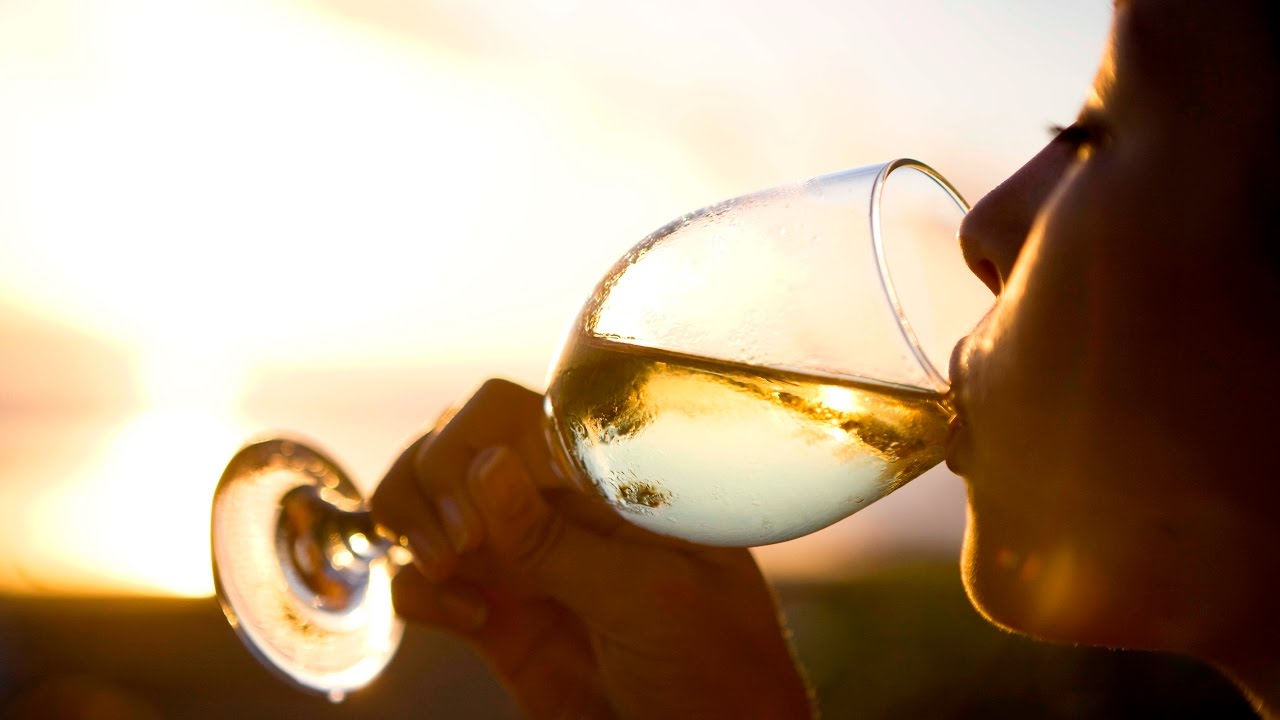 A wine-lover's guide to Pinot Grigio | The World of Wine