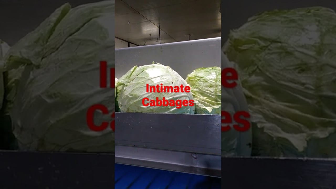 I work in a salad factory and when they think you're not looking...