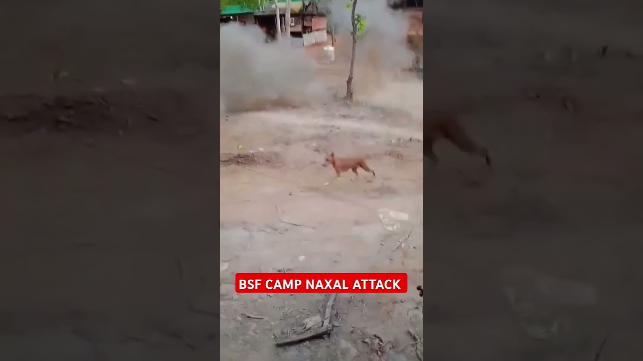 BSF Camp live Attack #viral #ytshorts #trending #shots #trendingshorts #youtubeshorts #like #shots