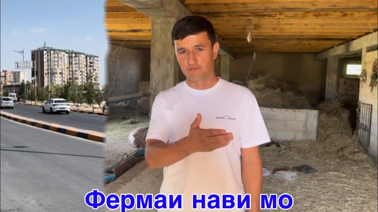 Боз як Фермаи нав бубинед,           12 августа 2025 г.