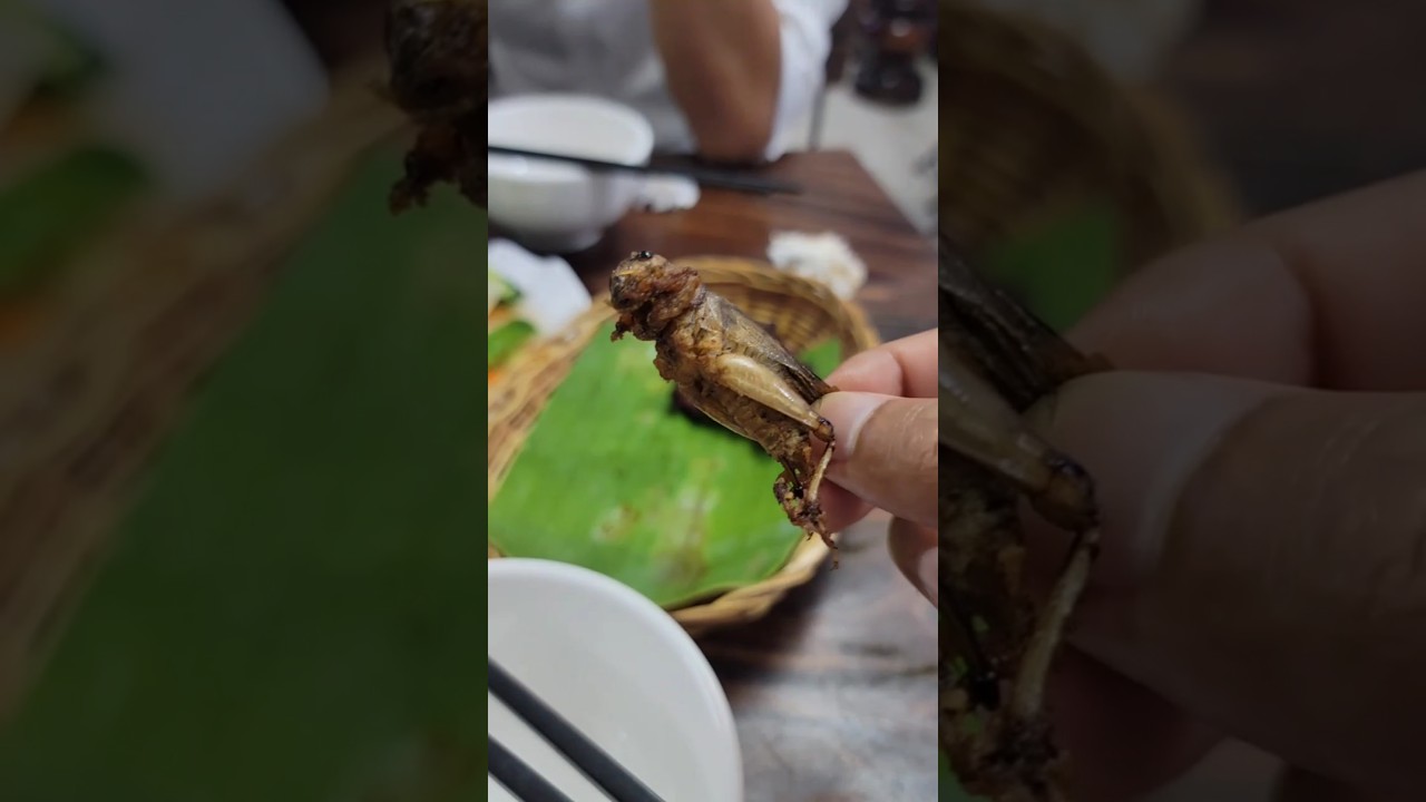 @ ចង្រិត បំពង fried crickets