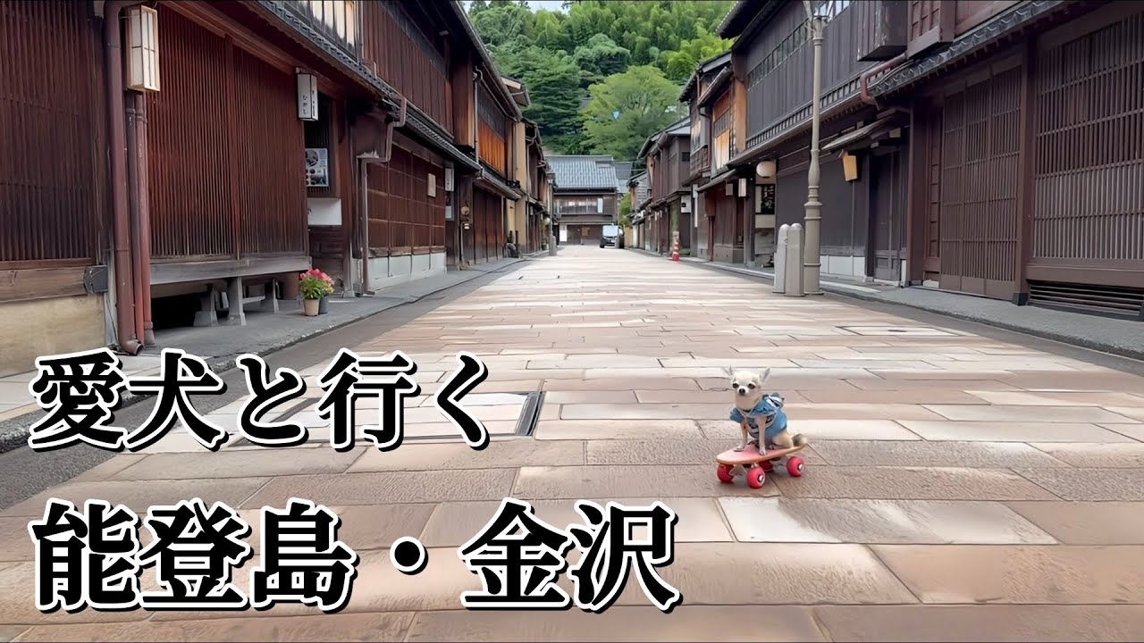 【愛犬と旅行】ワンコと一緒に野生のイルカが見れる能登島と、美食・観光三昧の金沢に行ってきました。