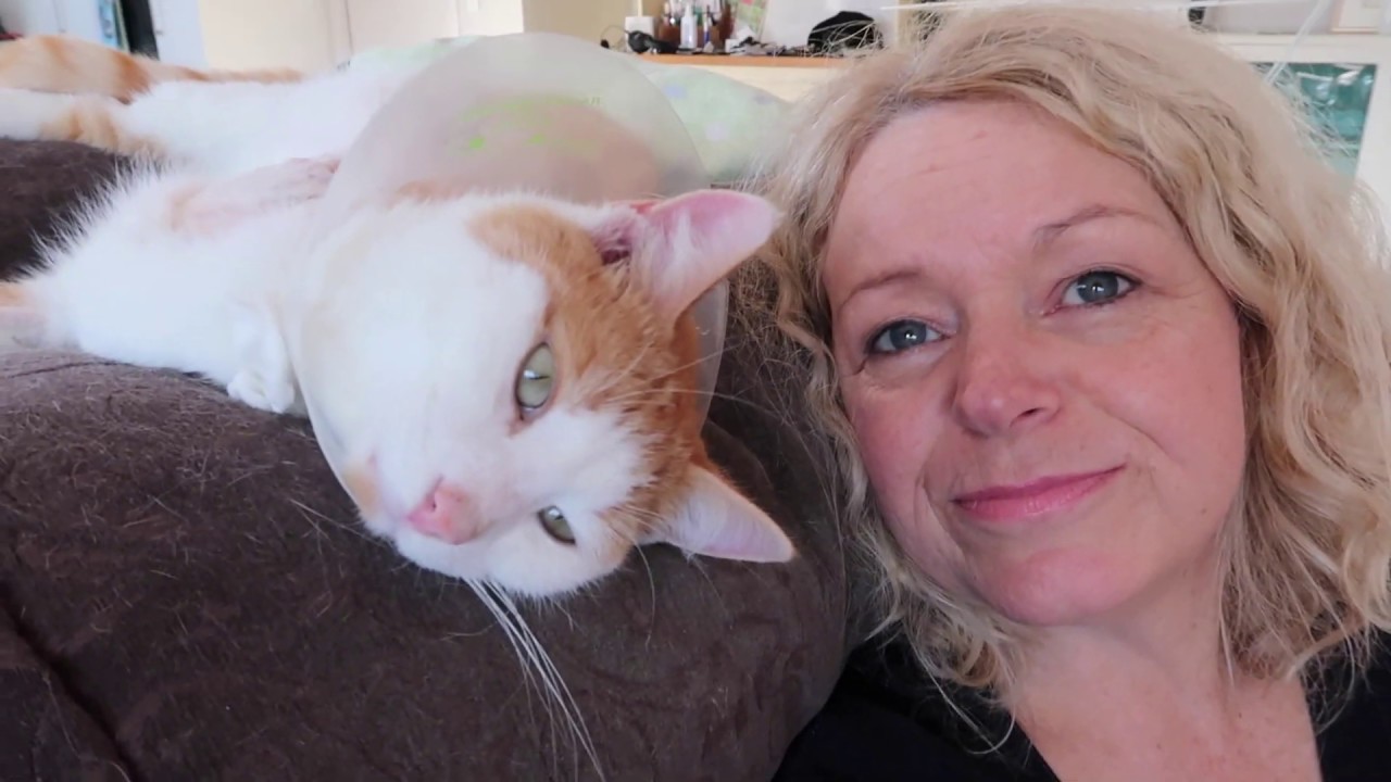 Steve becomes a tripod cat