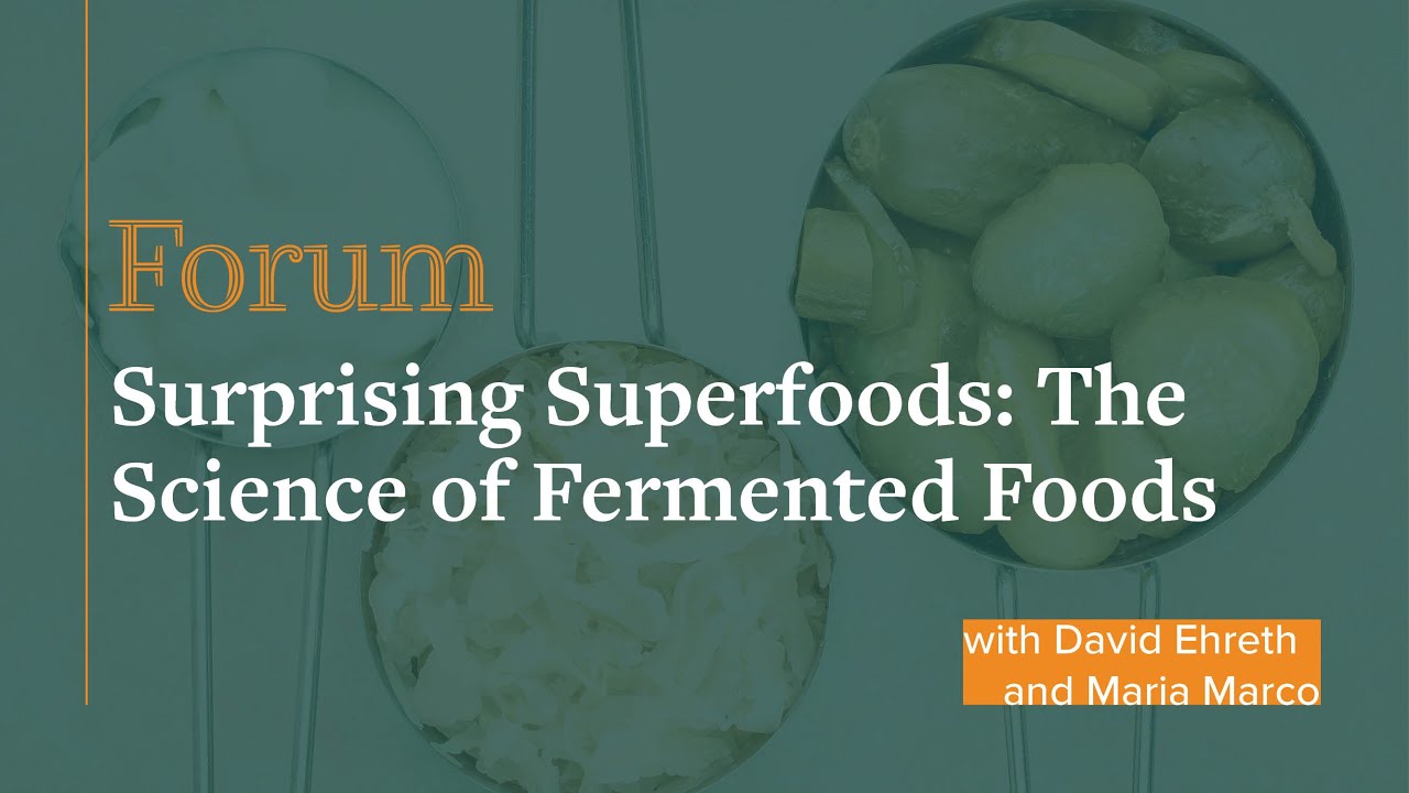 Forum: Surprising Superfoods: The Science of Fermented Foods, March 12, 2019
