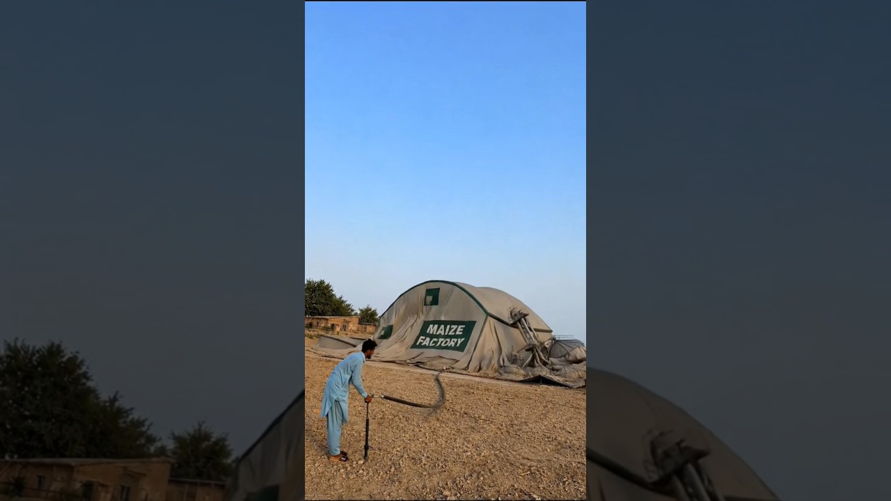 Balloon Maize Factory Seller 😳 #ytshorts #prayer #news #emotional #today #viralshorts