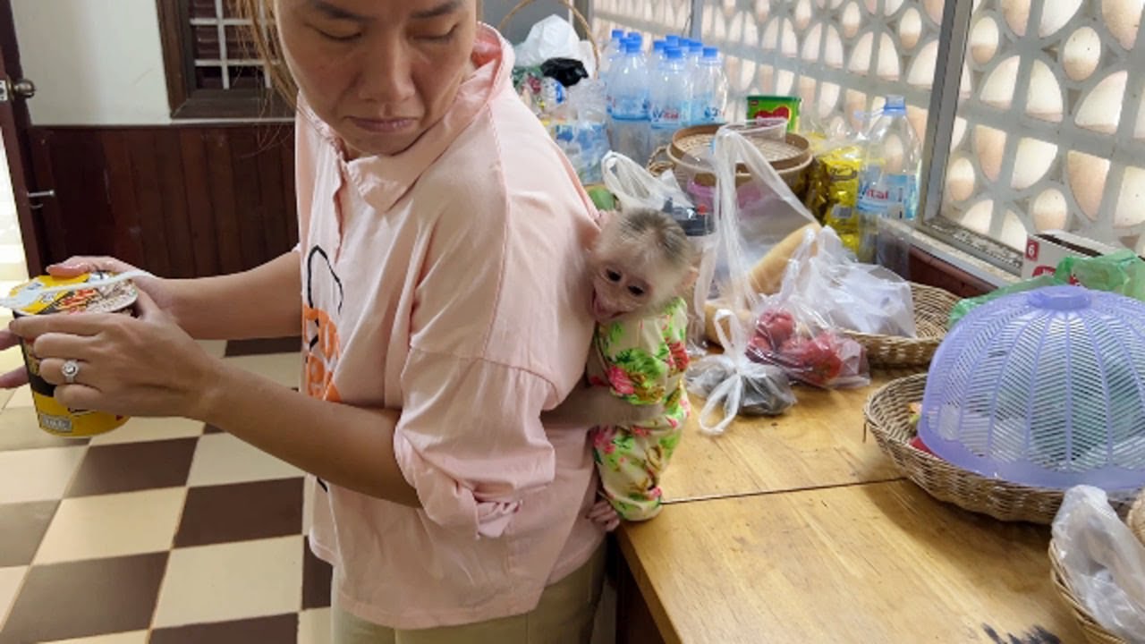 Pavpav Yelling Loud Rush To Hug Mom For Morning Fast Food