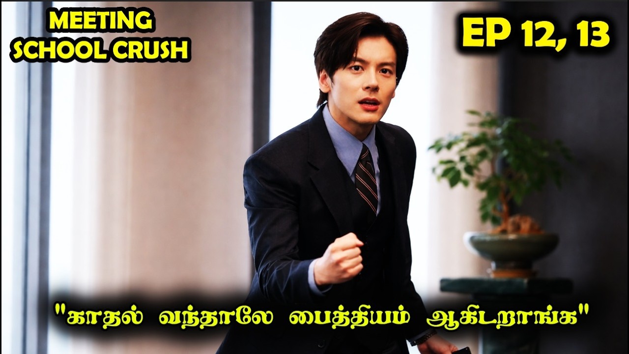 EP 12, 13 |❤️📖School Time Crush to Full Time Lover📖❤️#Dramareview #cdrama #StoryNeramTamil #SNTLove