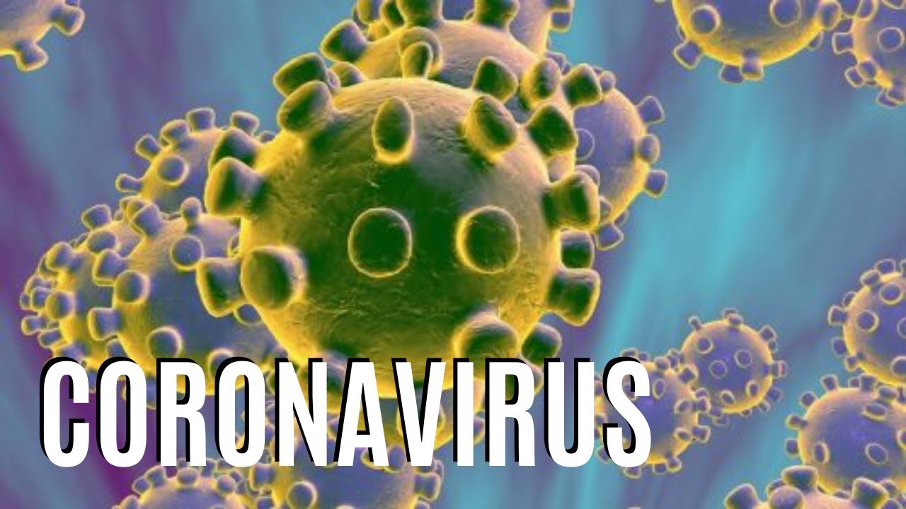 COME FUNZIONA il sistema immunitario?