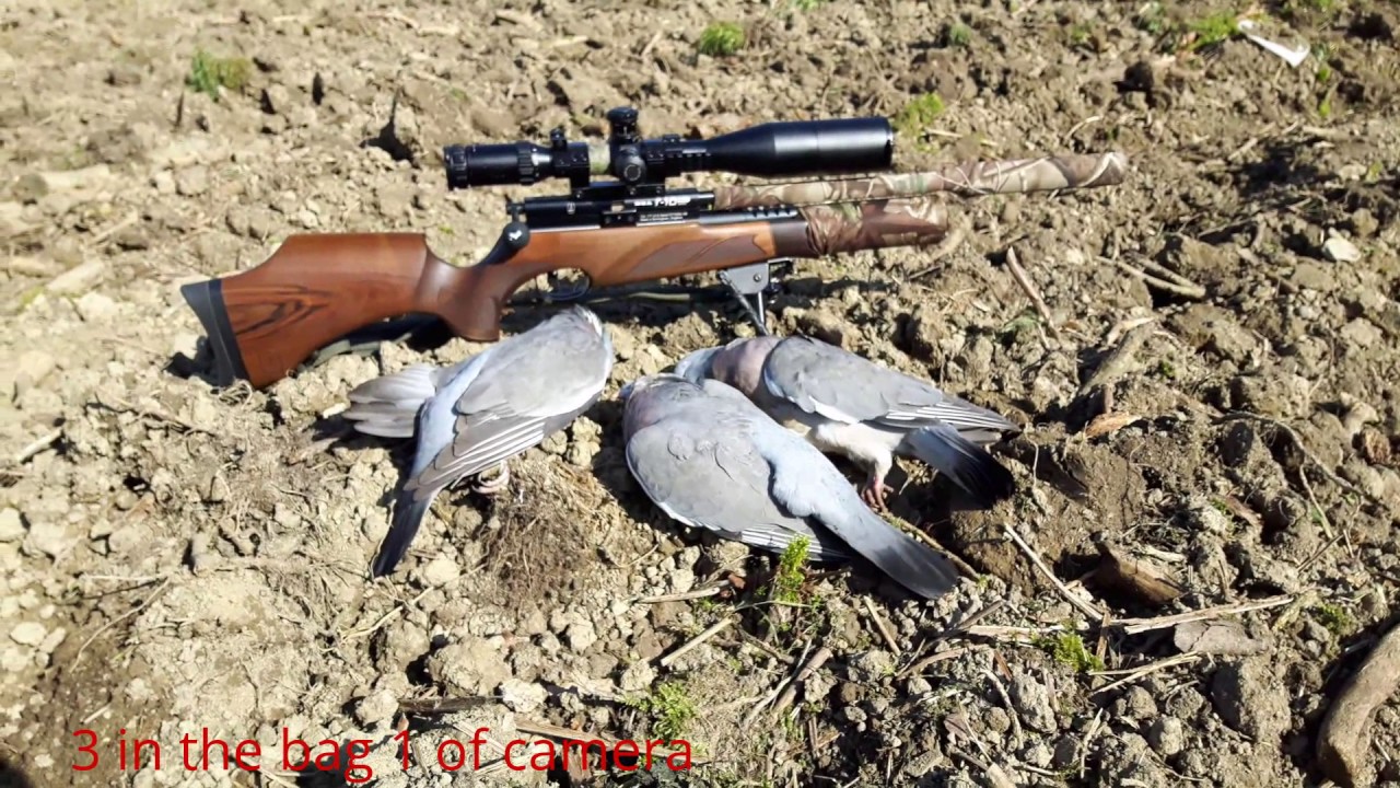 Air Rifle Hunting, Three Mini Sessions & Extra Footage