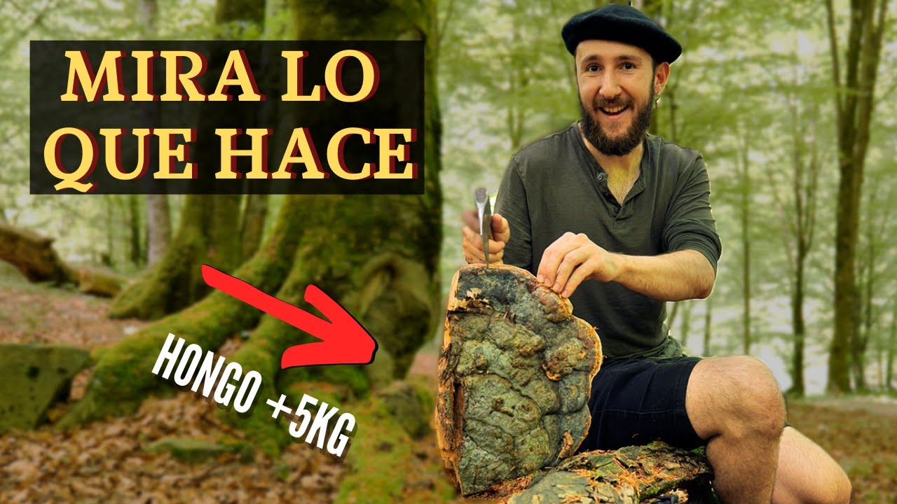 Para Esto Se Utilizaban Los Hongos Hace 5000 A&ntilde;os 🔪🍄