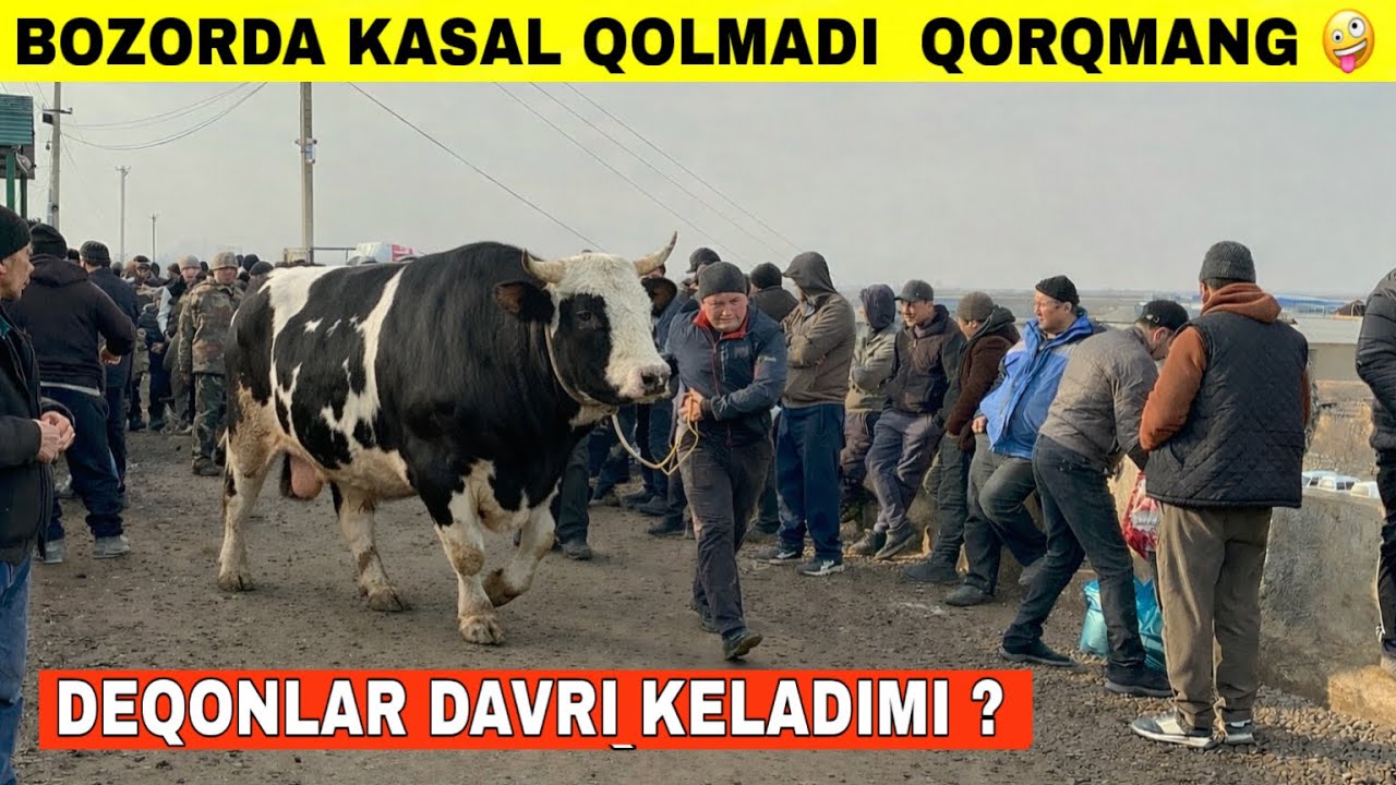 Bozorda Kasallik Deyarlik Qolmadi😳Narxlar Esa Kotarilmoqdami ?.Shoxidon Faqat Sotilganlari#2026 #mol