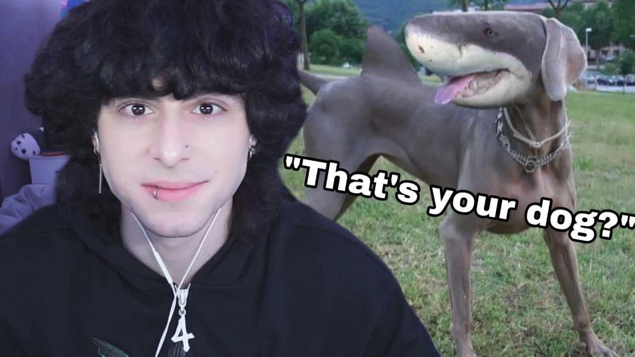 Rating your pets!!