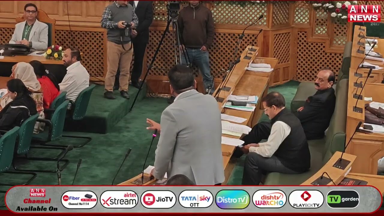 Watch: PDP MLA Fayaz Mir Talks About the Amnesty Scheme