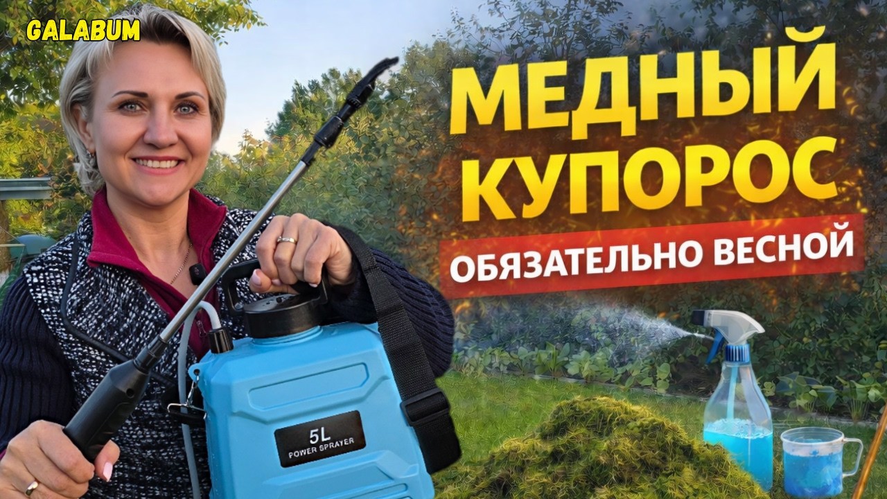Показываю, как мы обрабатываем сад медным купоросом и убираем мох. @galabum