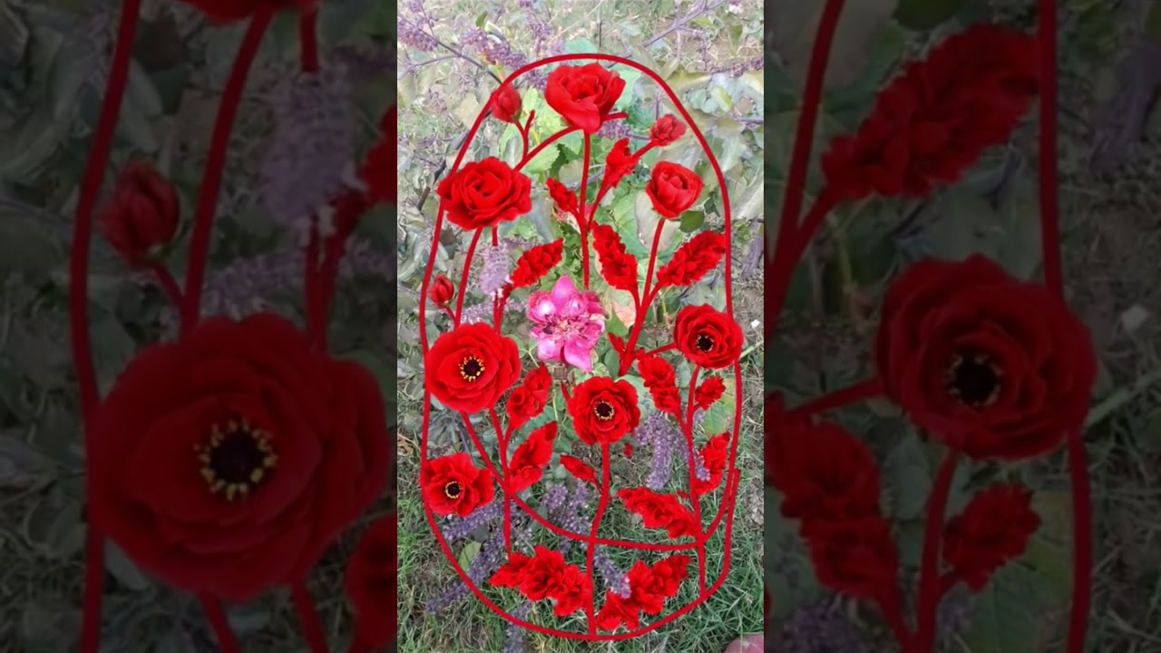 flower 🌹 rose magical powers 💐😍 