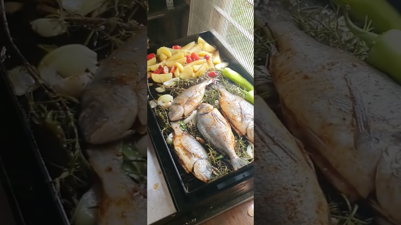 Rabye bouden Cuisine wiou Dorade vacances a la wiou
