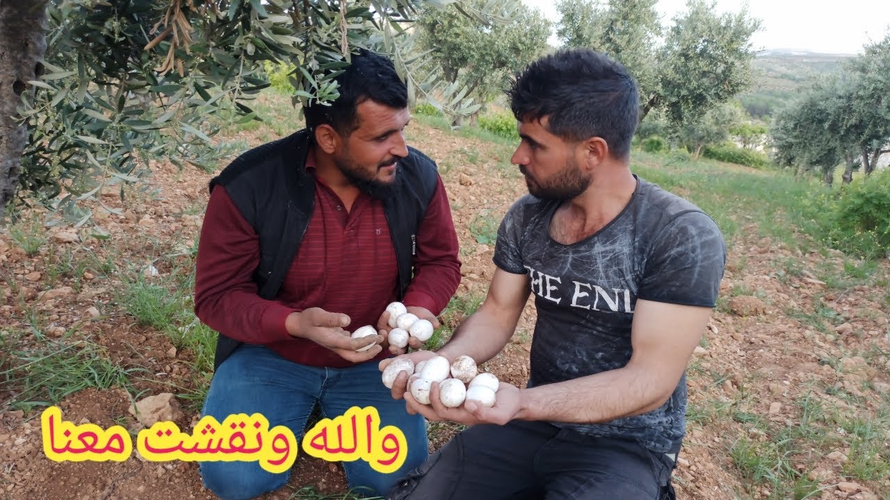 مسلسل السمان والبيض الحلقة الأولى(وأخيراً فُرجت)تابعوا للأخير اتمنى ينال اعجابكم 👍🏻