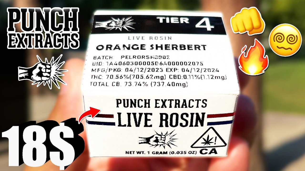 This ORANGE SHERBERT was TANGY TIER 4! | PUNCH EXTRACTS LIVE ROSIN | ROSIN RALPH REVIEW #3