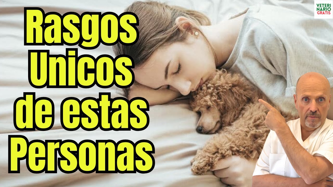 🐶🛏️ RASGOS UNICOS DE LAS PERSONAS QUE ADORAN DORMIR CON EL PERRO EN LA CAMA🐶🛏️