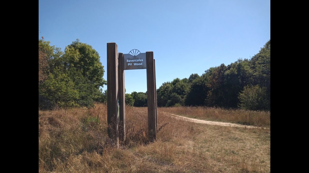 Dragons, Butterflies and Crickets at Bevercotes Pit Wood
