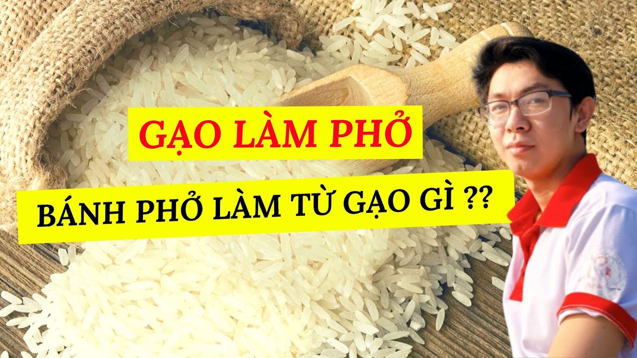 Bánh Phở Làm Từ Gạo Gì | Trùm Phở