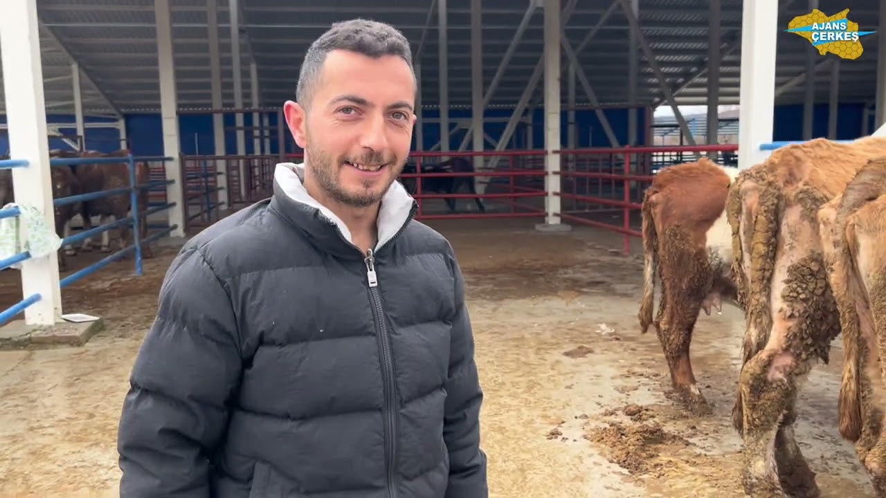 ÇERKEŞ HAYVAN PAZARI | 18.02.2026