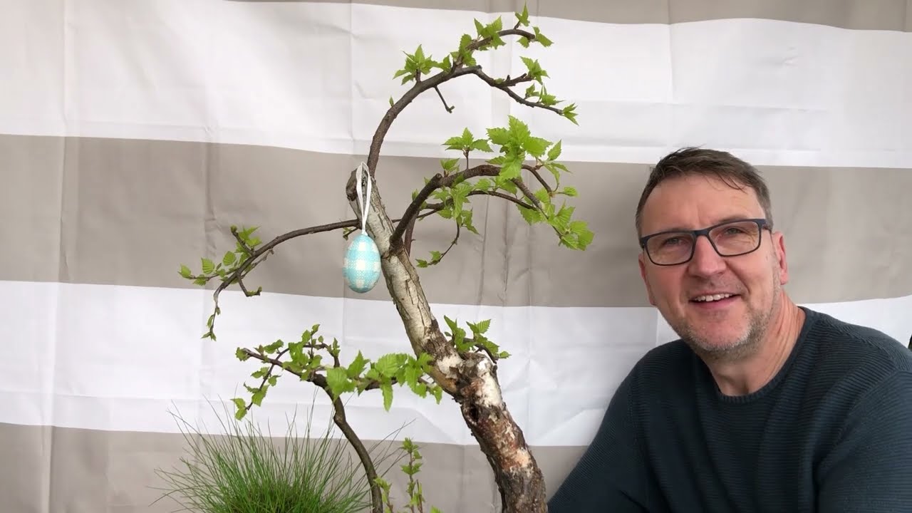 2022 Osterspezial mit Birke, Spitzahorn, Holunder, und Kastanie