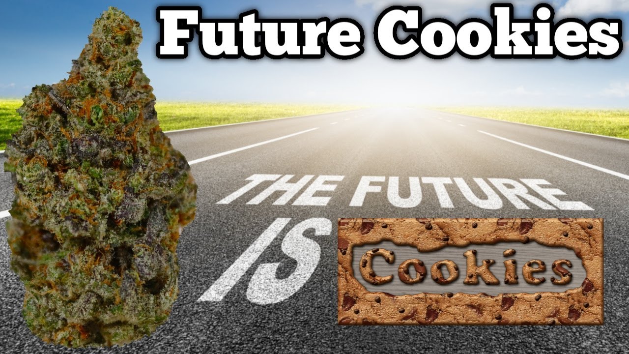 FUTURE COOKIES OFFICIAL STRAIN REVIEW