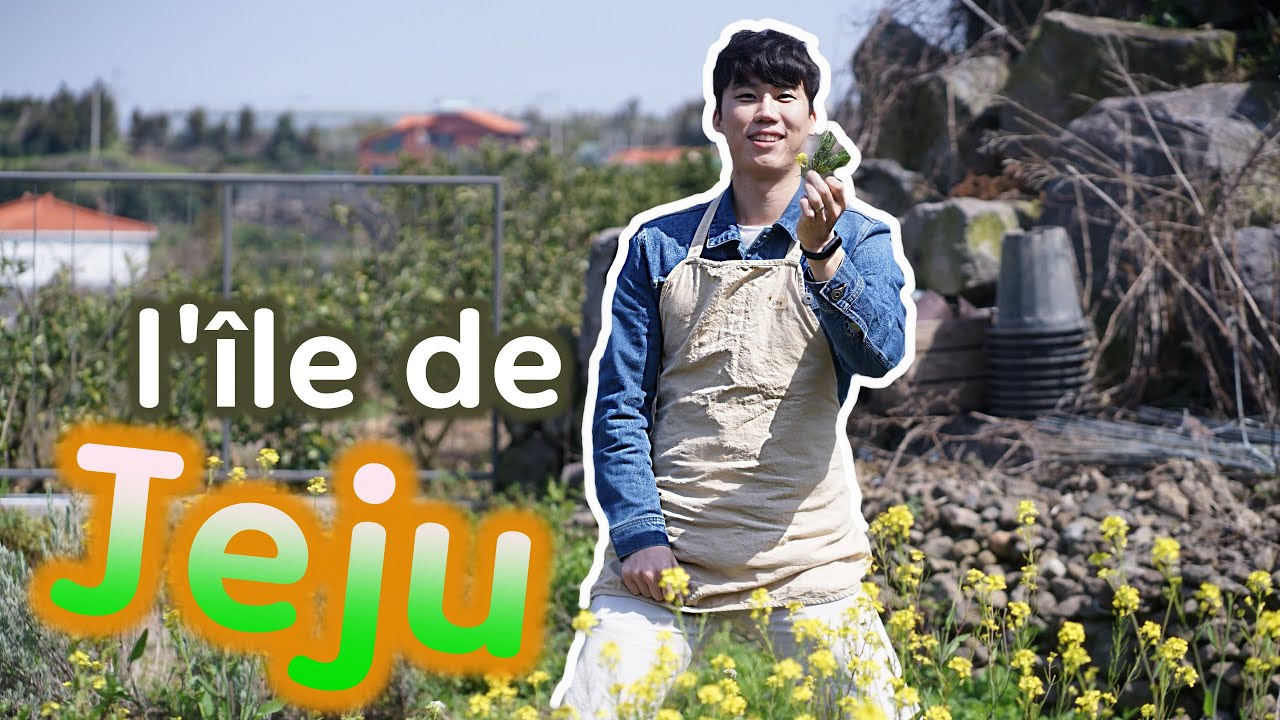 [🇰🇷&🇫🇷] L’ÎLE DE JEJU AVEC HWI🌸