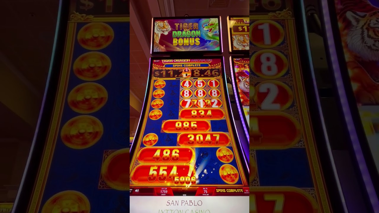 Dragon and Tiger Bonus Slot Machine 