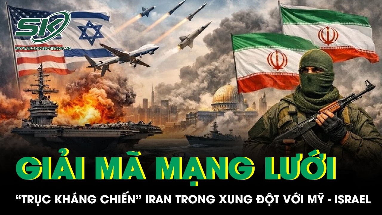 Giải mã mạng lưới 