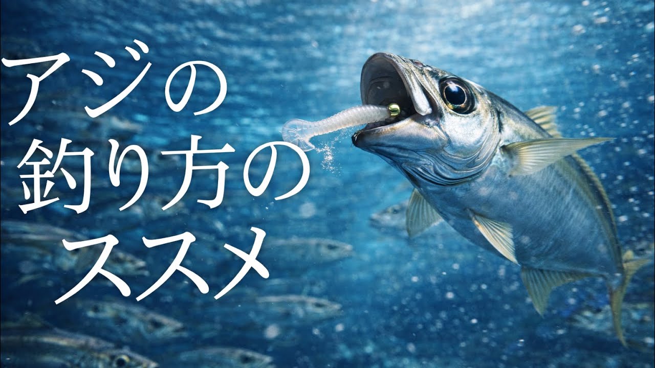 初心者〜中級者向け　アジノ釣リ方ノススメ