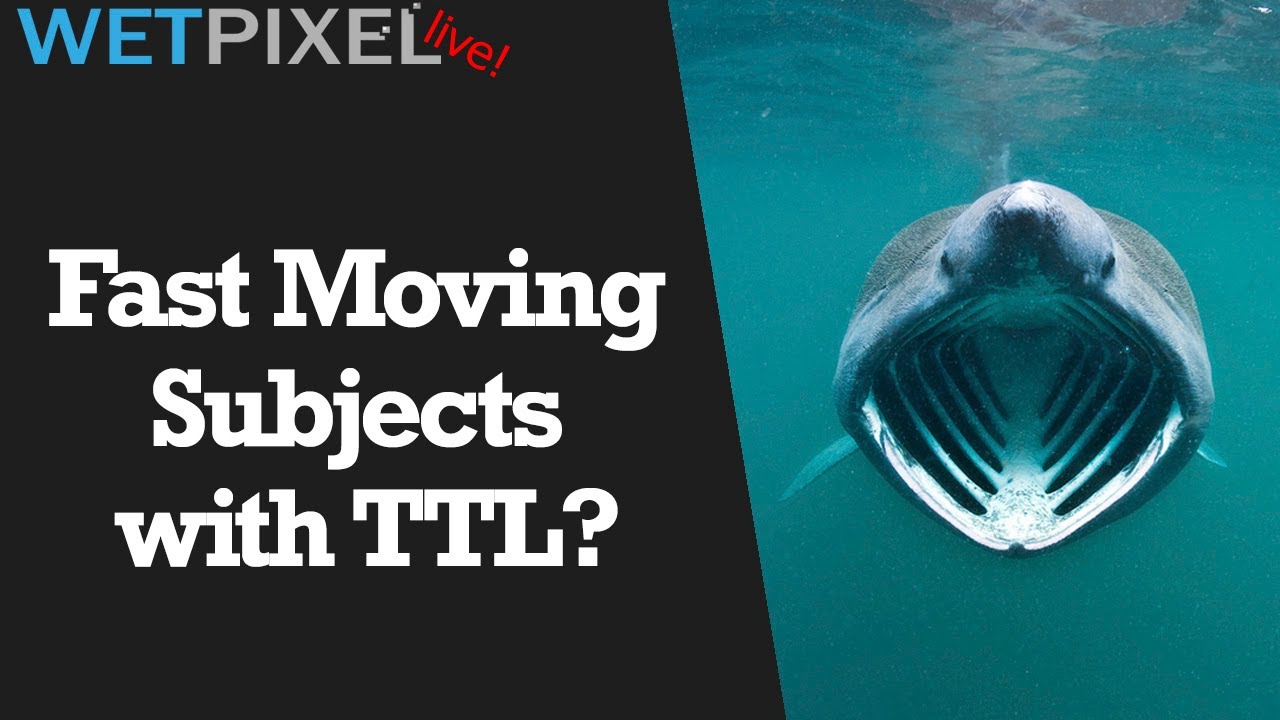 Q&A | Fast Moving Subjects with TTL and when to Shoot Available Light