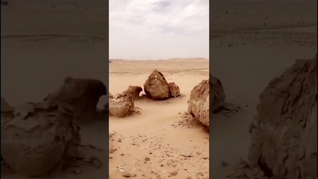 الرحلة الاستكشافية لواحة يبرين بتاريخ ١٤٣٨/٠٦/٠٤هــ