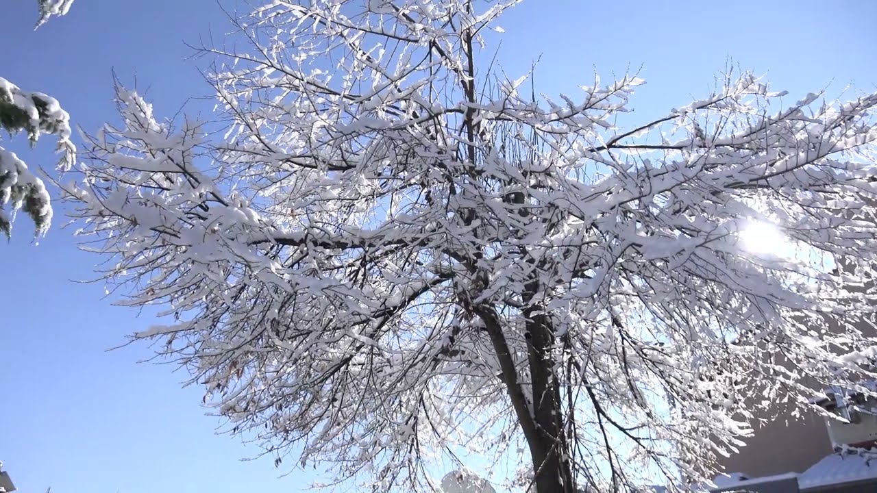Κ Νευροκόπι 12 1 2026 4Κ