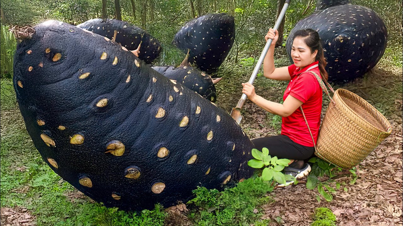 Harvest Giant LONGEVITY YAM Goes to Market Sell | Making Traditional Sweet Yam Cake | Lý Thị Hằng