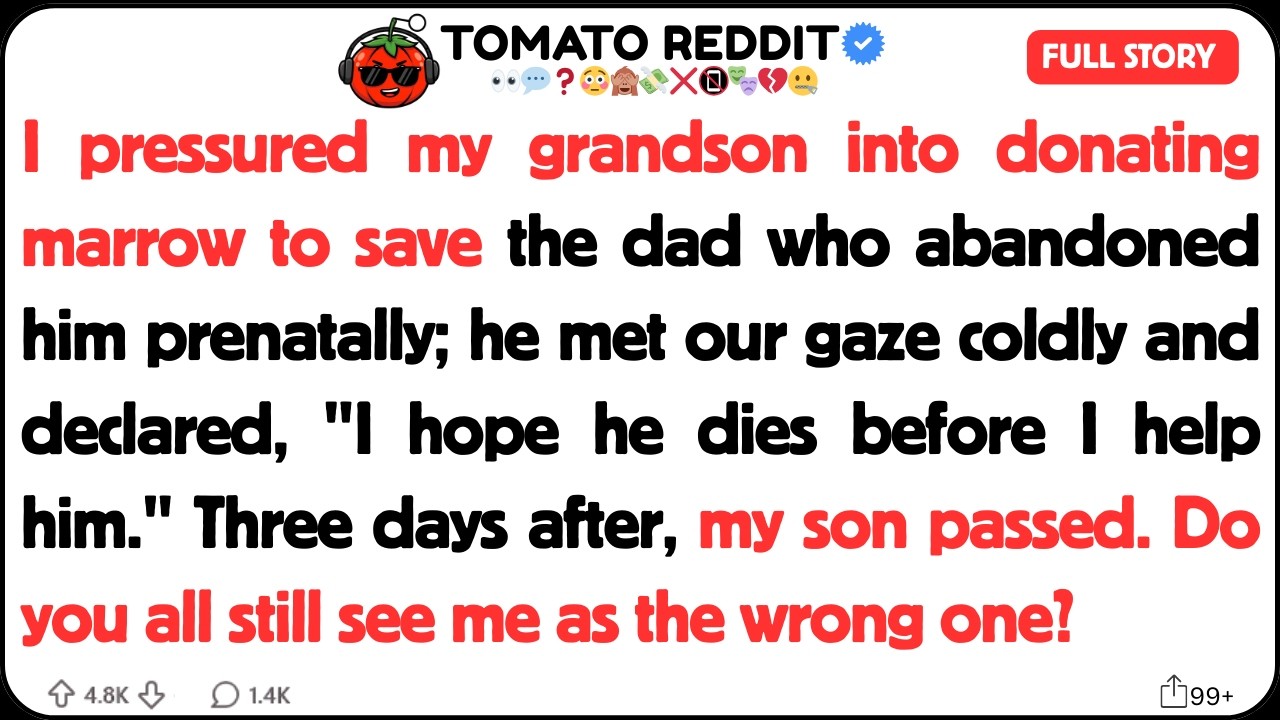I pressured my grandson into donating marrow to save the dad who abandoned.....