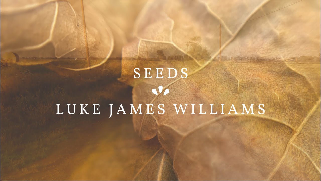 Luke James Williams - Seeds (Official Audio)