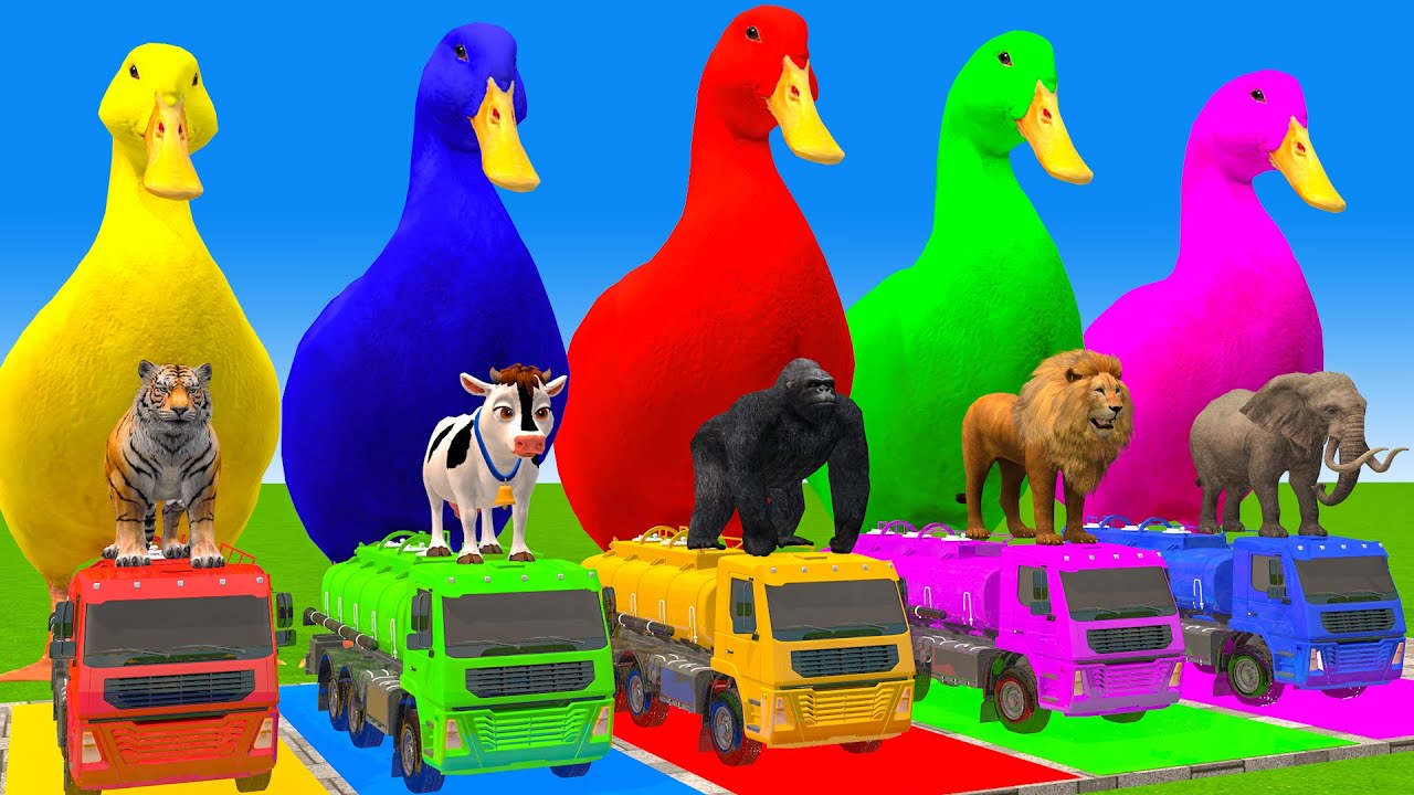 5 Giant Duck Cartoon,Cow,Elephant,Tiger,Lion,Dinosaur,Paint Wild Animals Crossing Fountain Animation