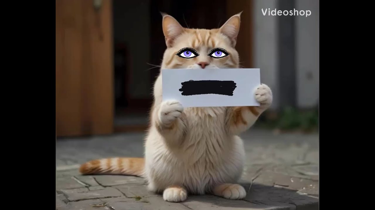 Vol 5 ORIGINAL ‘ PLEASE ’