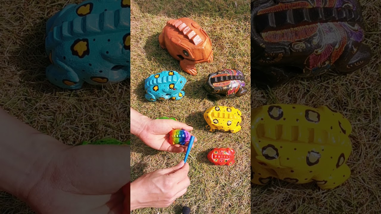 Funny Wooden Frog ASMR #Shorts