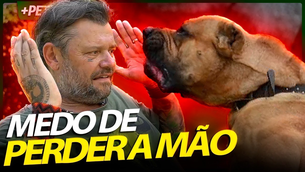 PRESA CANÁRIO, UM CACHORRO QUE EU TENHO MEDO DE VERDADE! | RICHARD RASMUSSEN