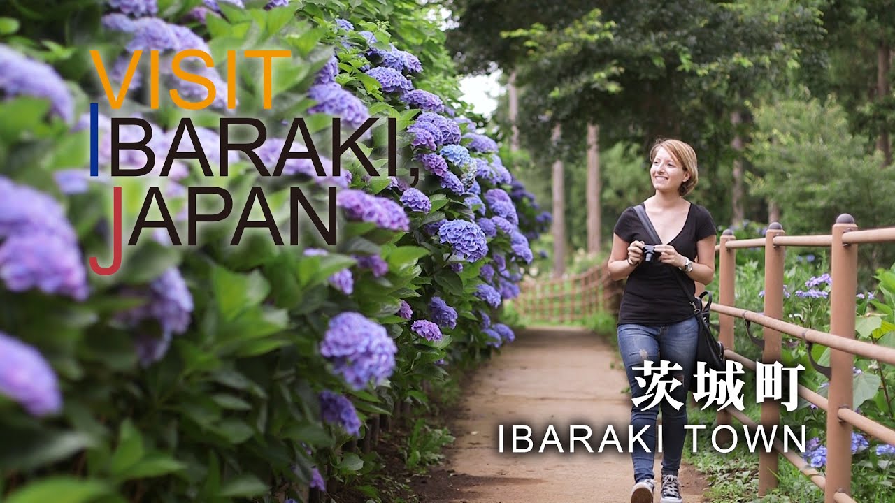 茨城町-IBARAKI TOWN- VISIT IBARAKI,JAPAN GUIDE