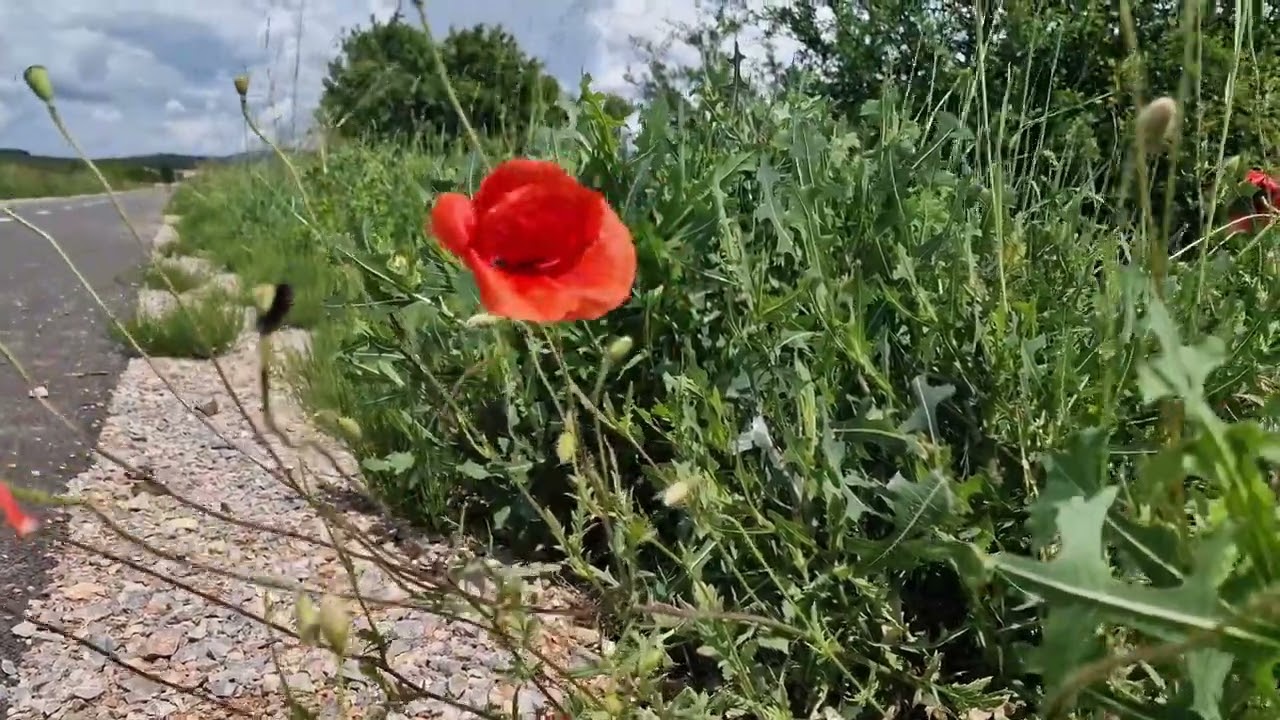 Gemerská 🚴‍♂️🌞💧cyklo trasa👍