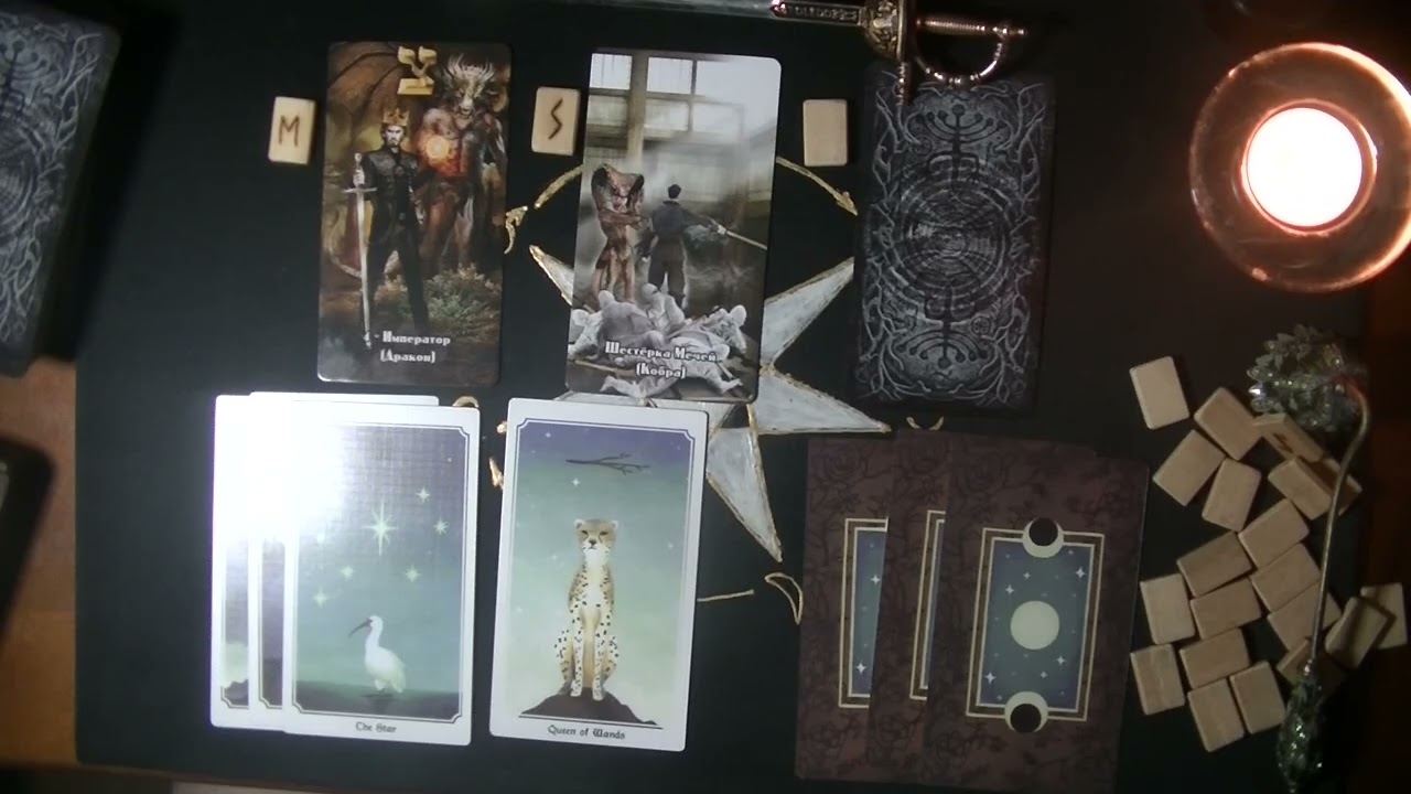 Ваш кот или кошка - кто для Вас? Что он для Вас делает