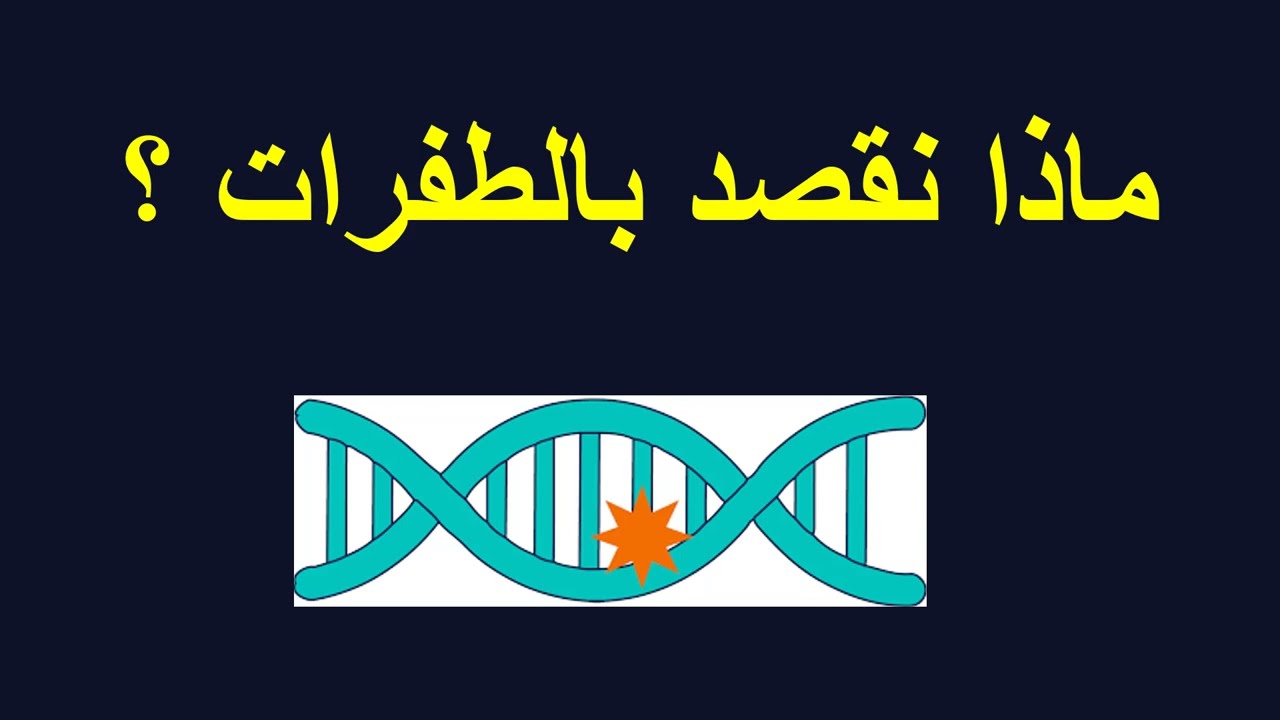 الطفرة 💥 !