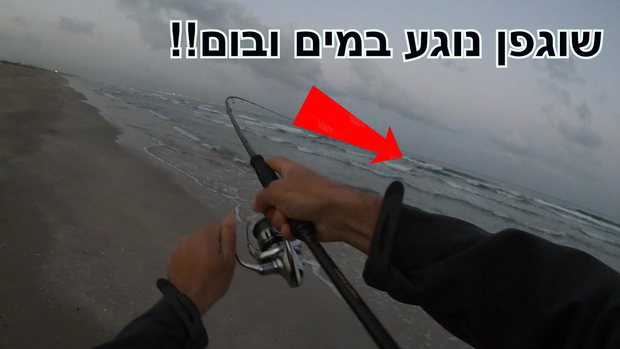 דמוי שכל דייג חייב בקופסה | השוגפן הלוהט שלייי | דייג בים 2023 fishing seabass and lure my king