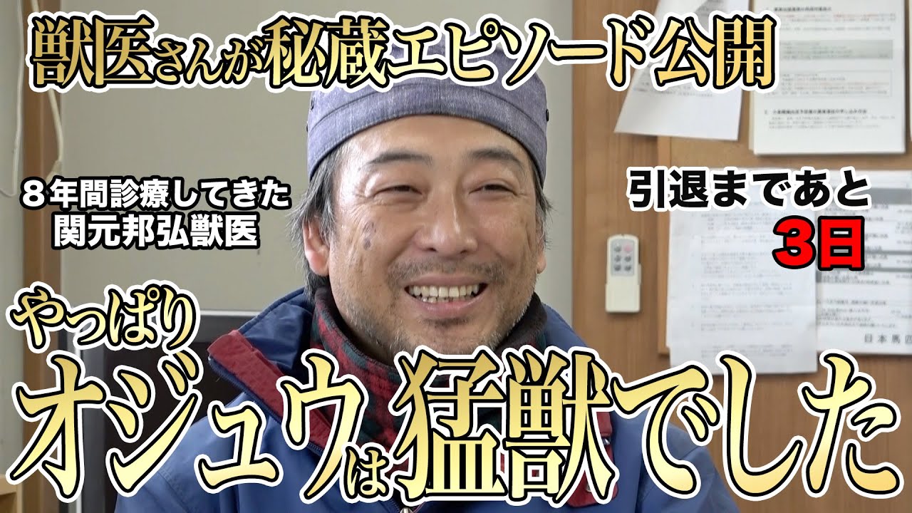 【引退オジュウチョウサン特別企画】「昔は良く言って猛獣でした」獣医がオジュウとの8年間を振り返る《引退まであと3日》